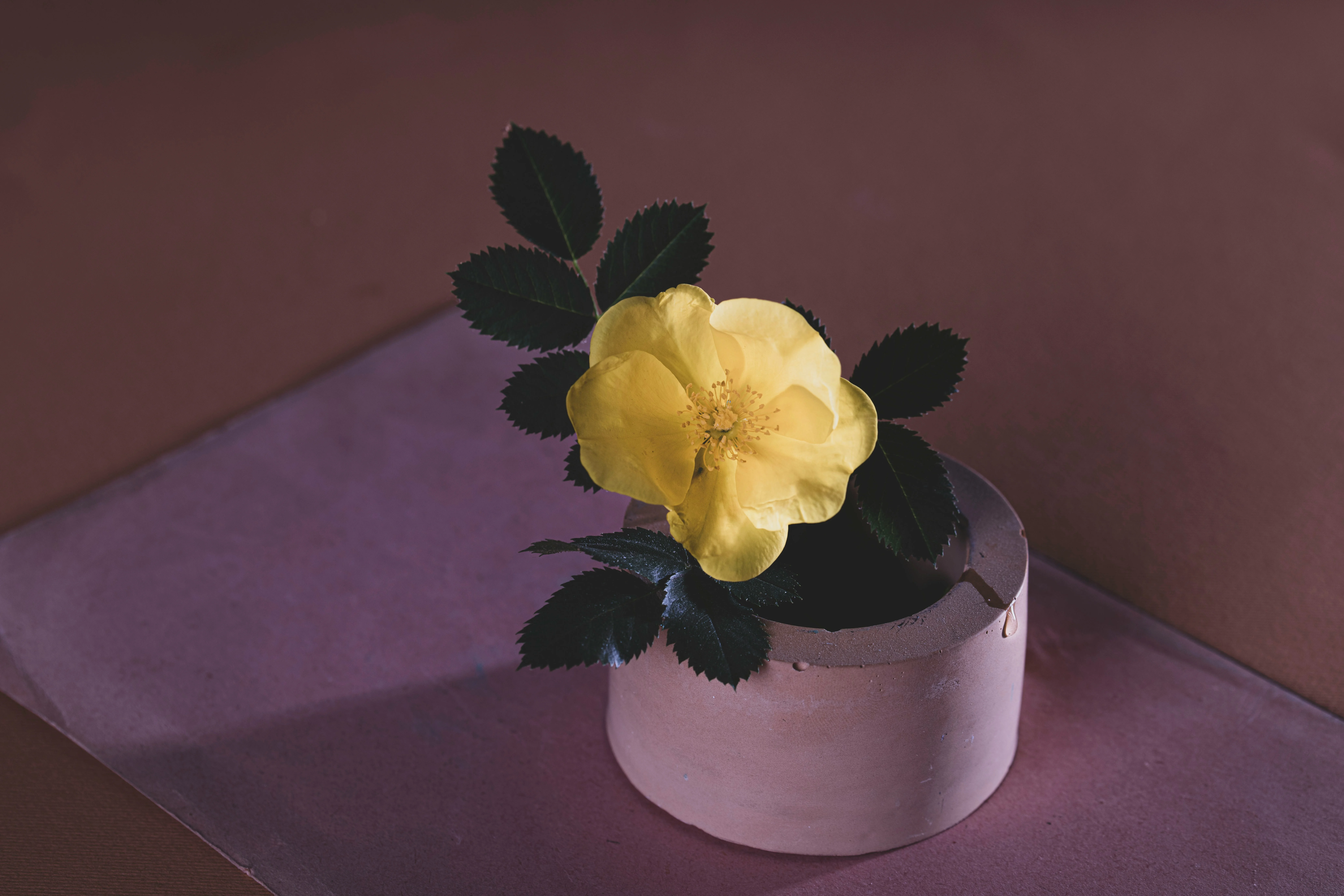 The Language of Scent